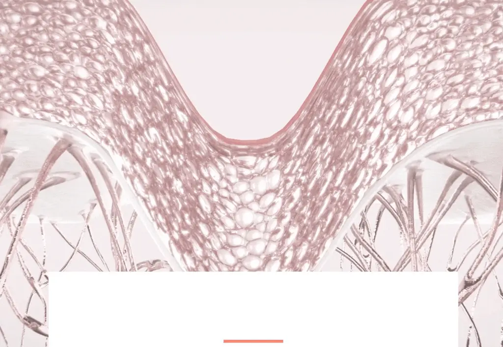 [리프팅] 아벤느 히알루론 액티브 B3 안티에이징 크림 50ml 기획 (+괄사+크림 2ml*2) 상세페이지 15